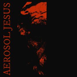 Album cover of Aerosol Jesus