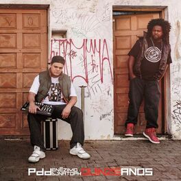 Album cover of P. D. D. (Pau De Dá Em Doido) [15 Anos]