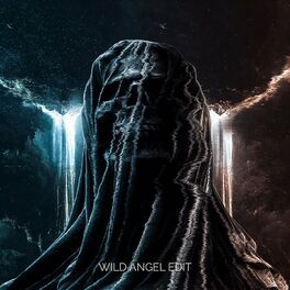 Album cover of Immortals (feat. Mqx & Tevvez) [Wild Angel Edit]