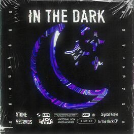 Album cover of In The Dark