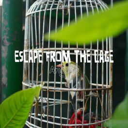 Album cover of Escape from the cage