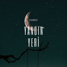 Album cover of Yangın Yeri