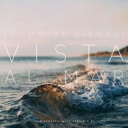 Album cover of Vista Al Mar (Como Se Siente Intro)