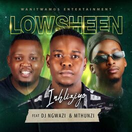 Album cover of Inhliziyo