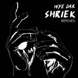 Album cover of Shriek Remixes