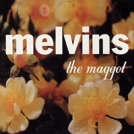 Album cover of The Maggot