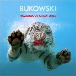 Album cover of Hazardous Creatures