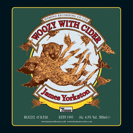 Album cover of Woozy With Cider