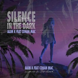 Album cover of Silence In The Dark
