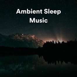 Album cover of Ambient Sleep Music