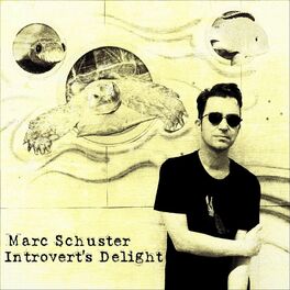 Album cover of Introvert's Delight