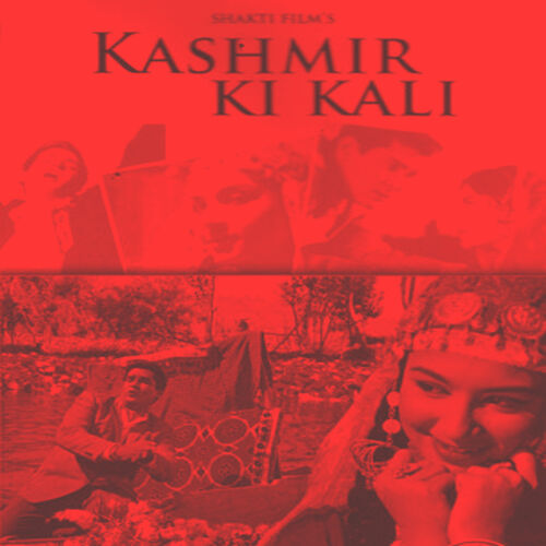 My 'Kashmir ki kali' moment with the OG poses 😚❤️😋 #latepost #kashmir  #loveislove #makeupartist #travelphotography #dallake #honeymoon… |  Instagram