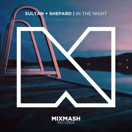 Album cover of In The Night