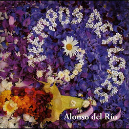 Album cover of Tiempos de Flores