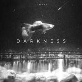 Album cover of Darkness