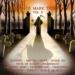 Album cover of A Black Mark Tribute, Vol. II