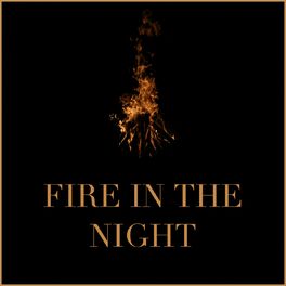 Album cover of Fire in the Night