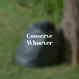 Album cover of Conserve Whoever