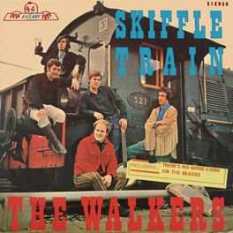 Album cover of Skiffle Train