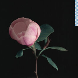 Album cover of magnolia