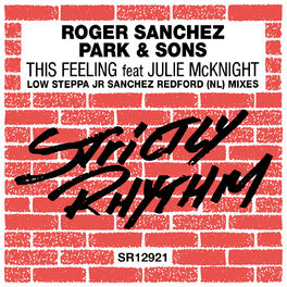 Album cover of This Feeling (feat. Julie McKnight) (Remixes)