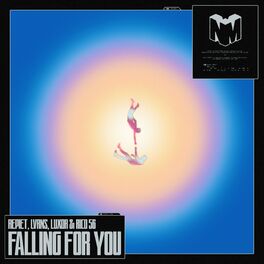 Album cover of Falling For You