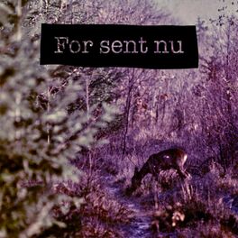 Album cover of For Sent Nu