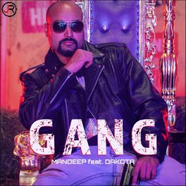 Album cover of Gang