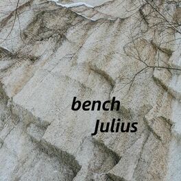 Album cover of bench