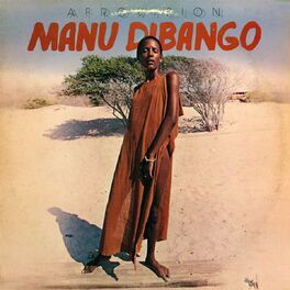 Album cover of Afrovision