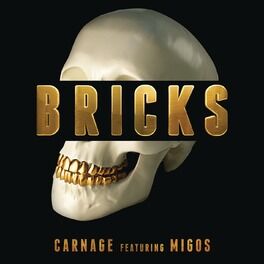 Album cover of Bricks (feat. Migos)