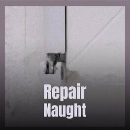 Album cover of Repair Naught