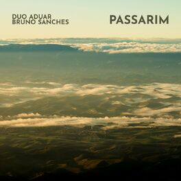 Album cover of Passarim