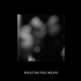 Album cover of What Do You Mean?
