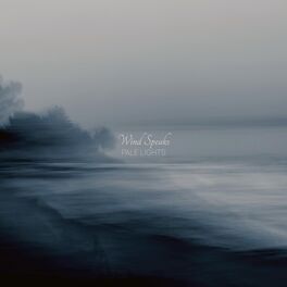Album cover of Pale Lights