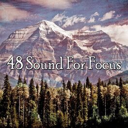 Album cover of 48 Sound For Focus