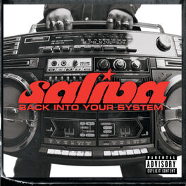 Album cover of Back Into Your System