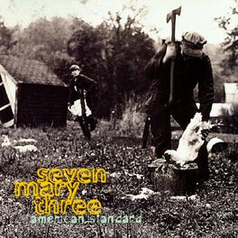 Album cover of American Standard