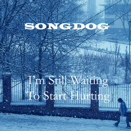 Album cover of I'm Still Waiting To Start Hurting