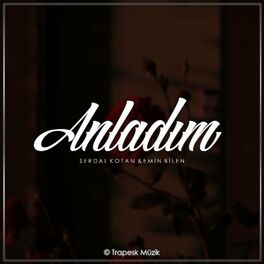 Album cover of Anladım (feat. Serdal Kotan) [Remix]