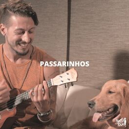 Album cover of Passarinhos