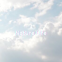 Album cover of Enchanted Evergreen