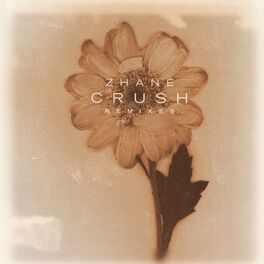 Album cover of Crush Remixes