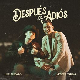 Album cover of Después Del Adiós (Remix)
