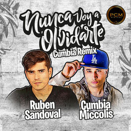 Album cover of Nunca Voy a Olvidarte (Cumbia Remix)