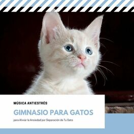 Album cover of Gimnasio para Gatos: Música Antiestrés para Aliviar la Ansiedad por Separación de Tu Gato