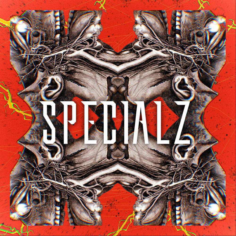 Dima lancaster. Specialz cover. Specialz cover. King gnu specialz. Specialz cover.