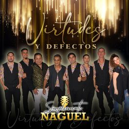 Album cover of Virtudes y Defectos