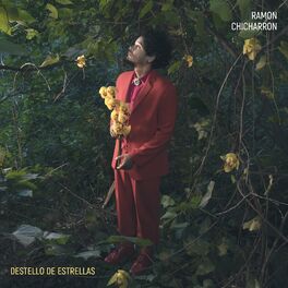 Album cover of Destello de estrellas