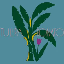 Album cover of Tulipa Ruiz e João Donato